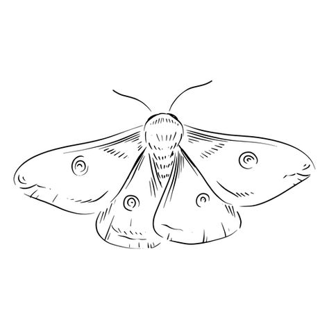 Moth Drawings Simple, 3 Moth Tattoo, Moth Tattoo Line Art, Moth Doodle Simple, Moth Sketch Simple, Luna Moth Drawing Simple, Small Moth Tattoo Simple, Easy Moth Drawing, Simple Moth Tattoo Outline