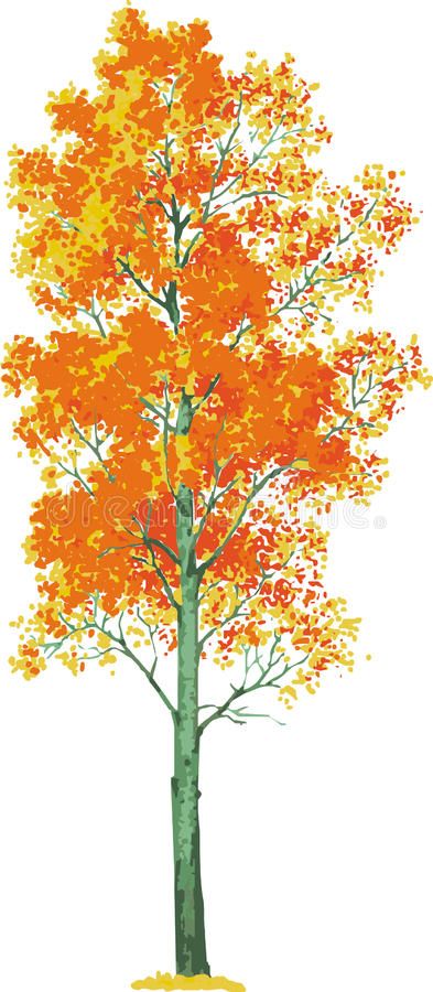 Tree Tattoo Simple, Aspen Tattoo, Aspen Tree Tattoo, Family Tree Icon, Aspen Trees Tattoo, Family Tree Graphic, Family Tree Collage, Trees Tattoo, Tree Tat