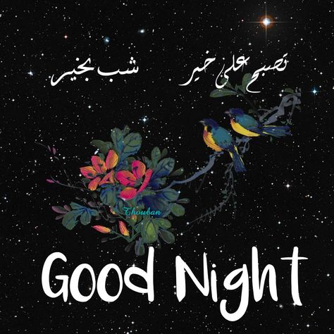 #FREE #Download #Status #Shabbakhair #Arabic #English #Urdu #Goodnight #Sweetdreams Good Night Quotes Urdu, Good Night In Urdu, Good Night Quotes In Urdu, Diy Teddy Bear, Dp Whatsapp, Good Night Sweet Dreams, Night Quotes, Holy Quran, Good Night Quotes