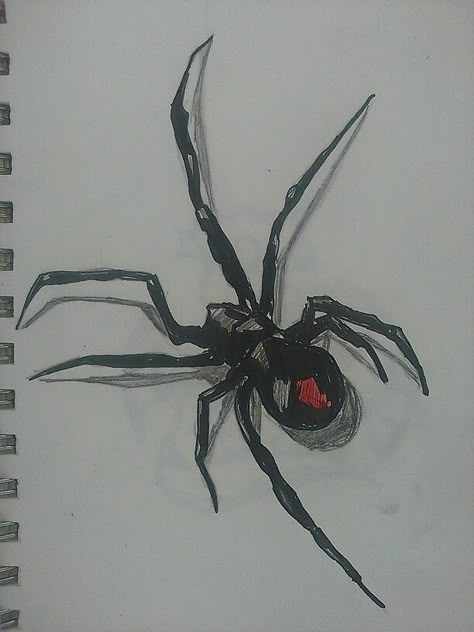 A drawing that i did of a black widow spider Black Widow Drawing Spider, Black Widow Spider Art, Black Widow Spider Drawing, Black Widow Sketch, Black Widow Drawing, Spider Web Drawing, Drawing Sketch Ideas, Animals Sketch, Spider Drawing