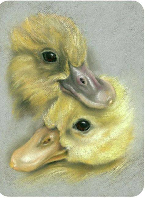 Realistic Chalk Art, Geese Drawing, Soft Pastel Art Ideas, Chalk Pastel Art, Soft Pastel Art, Chalk Pastel, Duck Art, Best Of Friends, Pastel Artwork