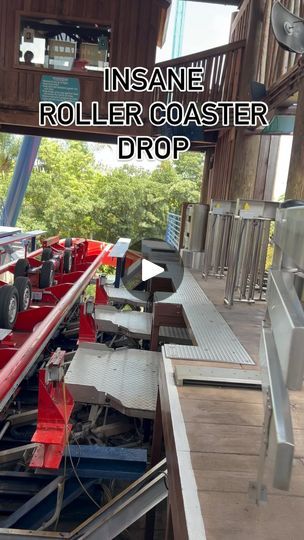 2.1K views · 9K reactions | Insane Drop Watch Till The End 

#rollercoasters #fail #win #bushgardens #fun #drops #heights #adventure #parks #viral #waterparks #animals #animalkingdom #SheiKra | Six Fivee Scary Roller Coasters, Till The End, The End, Roller Coaster, Water Park, Animal Kingdom