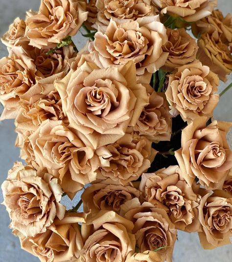 Is the Toffee Rose the Most Popular Brown Rose? - Article on Thursd Brown Wedding Florals, Toffee Rose Bouquet, Butterscotch Rose, Toffee Wedding, Taupe Roses, Brown And White Flowers, Neutral Roses, Tan Roses, Toffee Rose