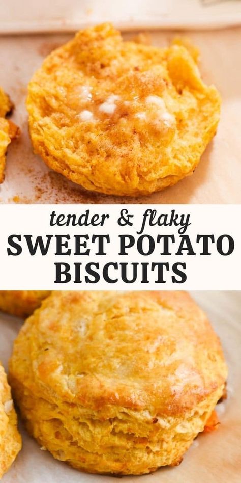 Sweet potato biscuits are tender, buttery southern style biscuits made extra fluffy and moist with roasted sweet potato. These biscuits are the perfect fall treat and are great with breakfast or as a side! Yummy Sweet Potato Recipes, Sweet Potato Biscuits With Country Ham, Sweet Potato Buttermilk Biscuits, Sweet Potato Biscuit Recipe, Gf Sweet Potato Muffins, Sweet Potato Biscotti, Healthy Recipe With Sweet Potato, Bisquick Sweet Potato Biscuits, Recipes With Baked Sweet Potatoes