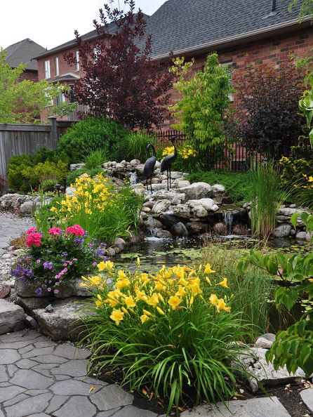 Suburban Backyard, Water Ideas, Diy Water Feature, Building A Pond, Rustic Landscape, Small Water Features, Fountains Backyard, Gardening Landscaping, Pond Ideas