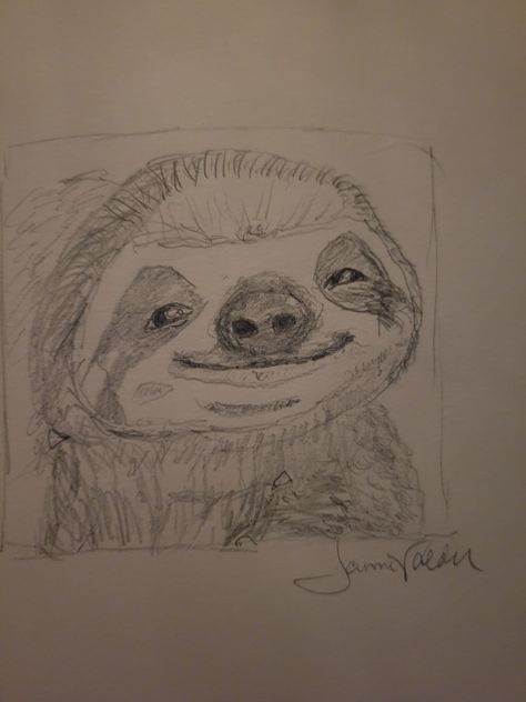 Sloth Sketch Simple, How To Draw A Sloth, Easy Sloth Drawing, Sloths Drawing, Sloth Drawings, Cute Sloth Drawing, Sloth Doodle, Sloth Sketch, Mixed Media Sketchbook