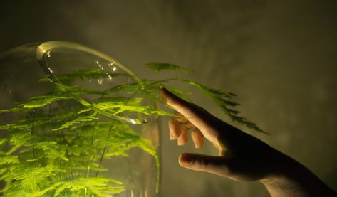 A new lamp designed by Dutch company uses the photosynthetic process to derive power from living plants. Earth Powers, Chemical Energy, Plant Magic, Green Magic, Magic Aesthetic, Magic Powers, Plant Powered, Photosynthesis, Green Energy