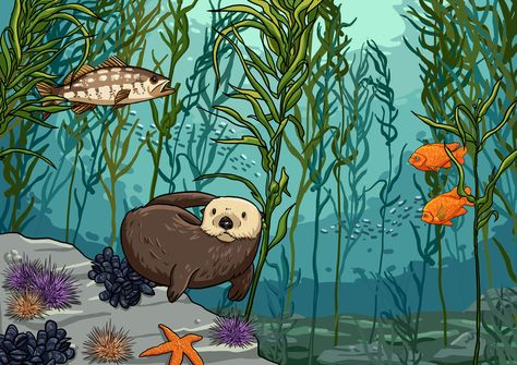 Illustration showing biodiversity in kelp forests Kelp Forest Drawing, Ocean Creatures Painting, Biodiversity Illustration, Shipping Container Sheds, Forest Drawing, Forest Ecosystem, Research Poster, Carnival Posters, Forest Mural