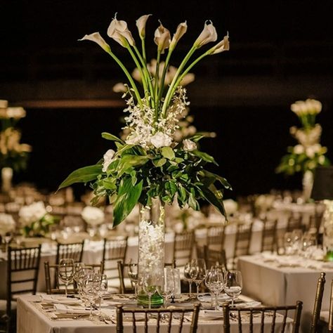 Centerpieces Calla Lillies Centerpieces, Calla Lily Wedding Centerpiece, Calla Lily Centerpieces, Lily Centerpieces, Modern Bridal Bouquets, Calla Lily Wedding, Calla Lily Flowers, Greenery Centerpiece, Black And White Wedding Theme