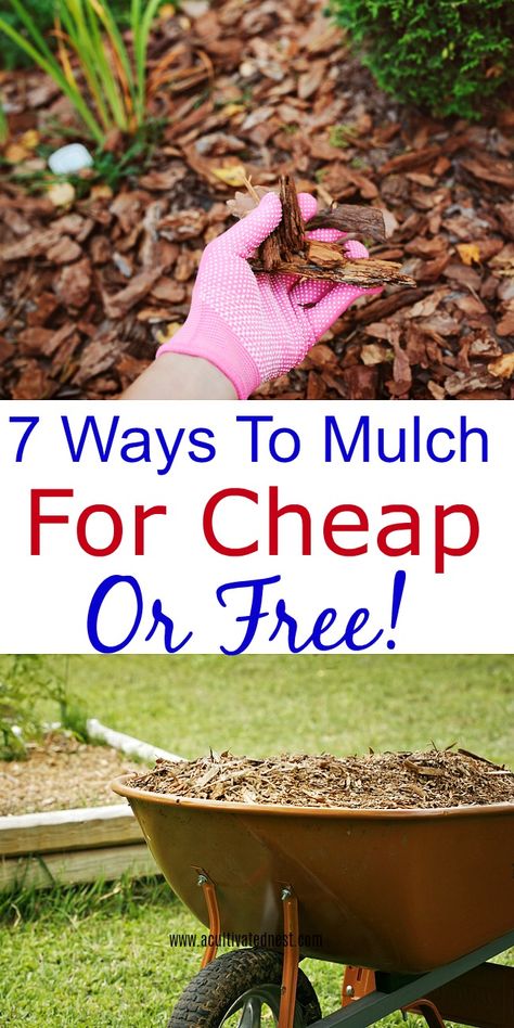 How to find free or cheap mulch-Do you need to apply a layer or two of mulch to your garden or landscaping? Take a look at these ways to mulch for cheap or free! #gardening #mulchlandscapingideas #mulch #frugal #frugalgardening #acultivatednest Mulch Free Landscaping, Cheap Mulch Alternatives, Diy Mulch Landscaping, How To Mulch Landscaping, Garden Mulch Ideas Yard Landscaping, Best Mulch For Flower Beds, How To Mulch Around Trees, Best Mulch For Landscaping, Mulch Landscaping Ideas Backyard