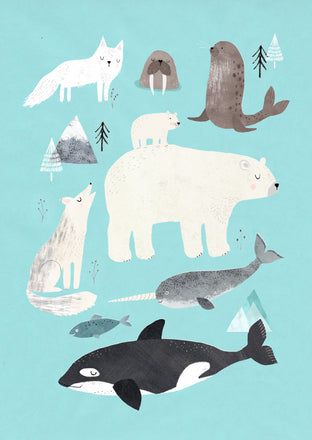 Poster Artic Animals 50 x 70 cm – Petit Monkey North Pole Animals, Arctic Nursery, Illustration Kunst, Polar Animals, Winter Illustration, Winter Animals, Arctic Animals, Cycling Art, Art Et Illustration