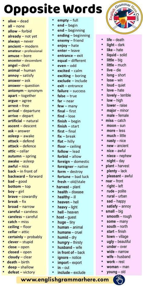 Important English Words, Tenses English Grammar, English Words Vocabulary, Antonyms Words List, Taal Posters, Cooking Terms, English Terms, अंग्रेजी व्याकरण, English Opposite Words