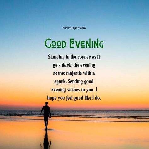 40+ Good Evening Wishes To Send To Your Loved Ones Have A Pleasant Evening, Lovely Evening Wishes, Enjoy Your Evening Quotes, Good Evening Quotes For Him, Happy Weekend Messages, Good Evening Quotes, Message For My Love, Job Wishes, Good Evening Love