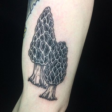 morel mushrooms Morel Mushroom Tattoo, Mushroom Morel, Mushroom Tattoo, Morel Mushrooms, Food Tattoos, Mushroom Tattoos, Morel Mushroom, Sleeves Ideas, Tree Tattoo