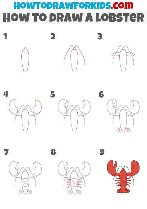 How To Draw A Lobster Step By Step, Lobster Tail Drawing, How To Draw A Crawfish Step By Step, Simple Lobster Drawing, Lobster Painted Rock, Lobster Painting Easy, How To Draw A Lobster, Draw Lobster, Lobster Drawing Simple