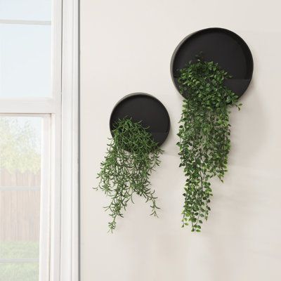 You can bring your walls to life - literally - with this set of two metal wall planters from Sagebrook Home. These two iron planters are round, facing forward for a unique way to display your favorite succulents, cacti or other small plants. Imagine how great hanging vine plants would look! Coming in a classic black color, this set will fit into any decor style easily. Thanks to the high quality material and manufacturing, these planters will withstand the elements to be used either indoors or o Metal Wall Planters, Tattoo Plant, Indoor Plant Wall, Iron Planters, Wall Planters, Hanging Plant Wall, Hanging Vines, Bathroom Plants, Decorative Planters