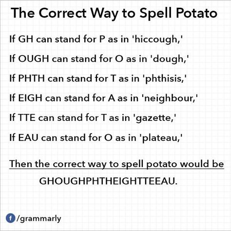 The 'correct' way to spell Potato in English! #funny #language #English Tumblr Funny, Bones Funny, Funny Posts, Writing Tips, The Words, English Language, Writing Prompts, Puns, To Read