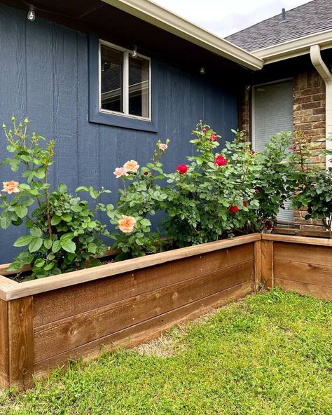 Diy Raised Flower Bed Along House, Raised Garden Bed In Front Of House, Raised Bed Border, Shed Flower Beds, Raised Flower Boxes In Front Of House, Raised Bed Along House, Horizontal Planter Ideas, Raised Flower Bed Around Deck, Raised Garden Bed Against Fence