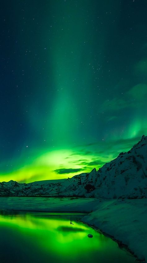 Northern Lights Wallpaper, Northern Lights Photography, Aurora Lights, Dark Green Aesthetic, Image Nature, See The Northern Lights, Lit Wallpaper, The Northern Lights, The Aurora