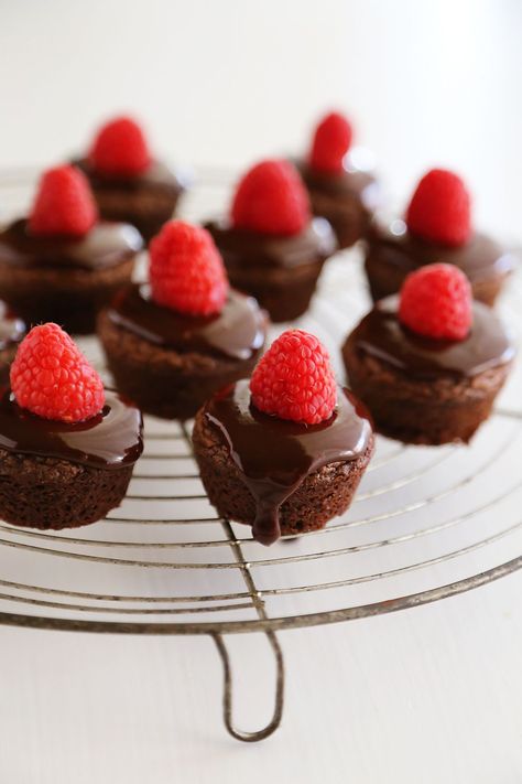 Easy Raspberry Ganache Brownie Bites - Fudgy brownie bites (baked in mini muffin tins) with chocolate ganache and raspberries are so easy and elegant! Thecomfortofcooking.com Mini Chocolate Desserts For Parties, Elegant Brownies, Brownie Bite Ideas, Chocolate Mini Desserts, Brownie Squares Mini, Mini Brownies Bites, Brownie Bites From Mix Boxes, Brownie Bites Recipe Minis, Mini Brownie Bites From Mix Boxes