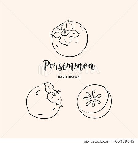 Persimmon Drawing, Persimmon Illustration, Persimmon Tattoo, Gardener Illustration, Fruit Graphic, Persimmon Fruit, Key Tattoos, Patchwork Tattoo, Branch Tattoo