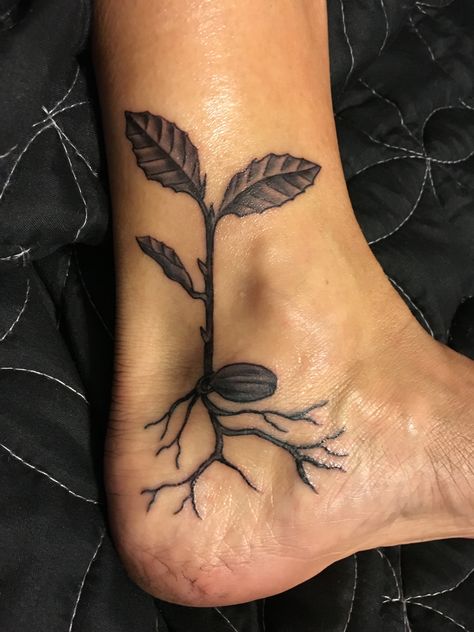 Tattoo of a tanoak seedling (Notholithocarpus densiflorus). Seed Growing Tattoo, Plant Roots Tattoo, Pecan Tree Tattoo, Stinging Nettle Tattoo, Ankle Plant Tattoo, Arm Crease Tattoo Inner, Root Tattoo Ideas, Seedling Tattoo, Environment Tattoo