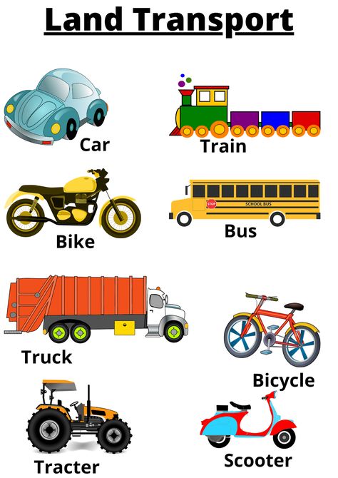 Land Transportation Craft, Land Vehicles Preschool, Transport Worksheets For Kindergarten, Transportation For Kindergarten, Transport Worksheets For Kids, Modes Of Transport For Kids, Means Of Transport Worksheet, Land Transportation Preschool Activities, Vehicles Preschool Activities