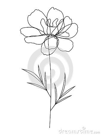 Marigold Line Tattoo, One Line Marigold Tattoo, Marigold Line Drawing, Maddy Tattoo, Flower Outline Tattoo, Family Vector Illustration, Marigold Tattoo, Continuous Line Tattoo, Numbers Typography