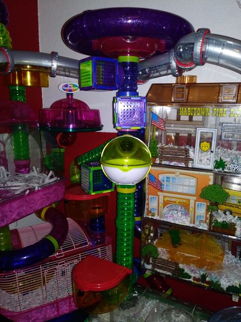 Connecting on top 4 level module hamster Penn plex cage tube leading up to Habitrail Stratus saucer Hamster Tunnels, Hamster Tube, Hamster Accessories, Hamster Cages, Mouse Traps, Hamster Cage, Reaction Memes, London Flat, Hamsters