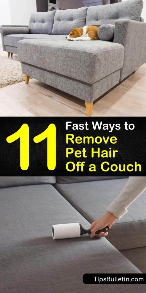 Pet owners often struggle with the daily occurrence of dog hair on furniture. Use a vacuum cleaner to remove pet hair, and use fabric softener and a lint roller to keep loose pet hair at bay in between vacuumings. #removepethair #couch #doghair #sofa Pet Odor Out Of Couch, Protect Furniture From Dogs, Removing Dog Hair From Furniture, How To Remove Dog Hair From Furniture, How To Keep Dogs Off Couch, Couch Cleaning Solution, Cleaning Dog Hair Off Couch, Dog Hair Removal From Couch, How To Clean Dog Hair Off Couch