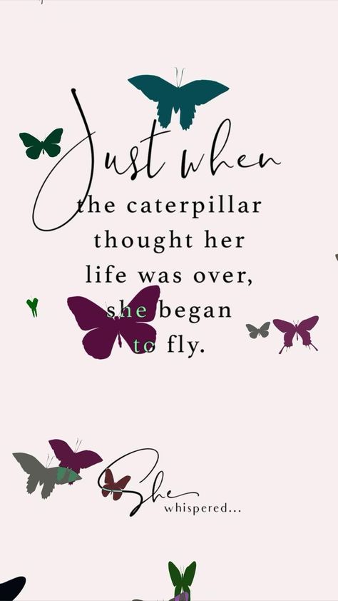 Quotes Video, Discover Quotes, Butterfly Quotes, Inspirational Quotes Wallpapers, Quotes Wallpapers, Fitness Motivation Quotes Inspiration, Morning Inspirational Quotes, Motivational Quotes For Working Out, Fitness Motivation Quotes