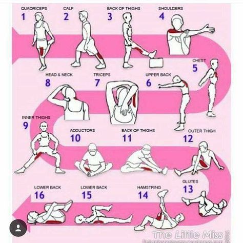 Pre Workout Stretches, Full Body Stretching Routine, Post Workout Stretches, Full Body Stretch, Lose Thigh Fat, Stretch Routine, Volleyball Workouts, Lower Back Pain Exercises, Volleyball Training