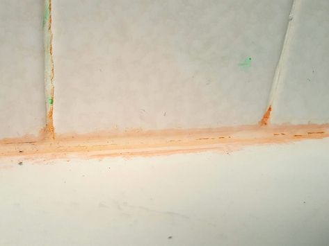 What is That Pink Slime in Your Bathroom? Pink Mold, Shower Mold, Shower Grout, Red Slime, Pink Slime, Mold In Bathroom, Mildew Remover, Fiberglass Shower, Pink Soap