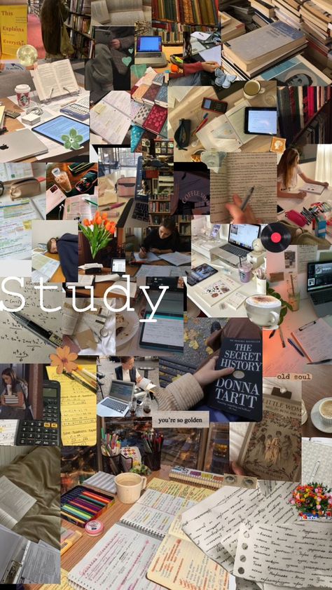 Study Mood Board, Psychology Aethstetic, Studying Inspo Wallpaper, Studying Inspo Student, Study Collage, Law School Inspiration, Study Mode, College Motivation, Med School Motivation