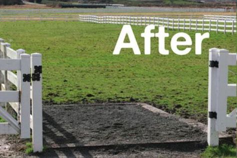 Horse Pasture, Muddy Horse, Horse Corral, Horse Paddock, Happy Trails, Horse Love, Farm Life, Horses, How To Plan