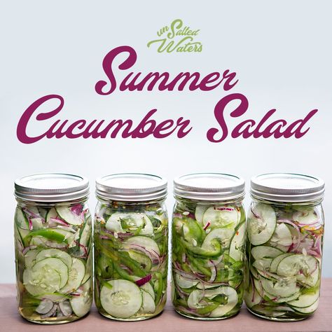 Cucumber Salad Canning Recipes, Canned Cucumber Salad, Cucumber Jar Salad, Jarred Cucumbers, Refrigerator Cucumber Salad, Mason Jar Cucumber Salad, Cucumber Mason Jar Salad, Canning Cucumber Salad Recipes, Canning Cucumber Salad