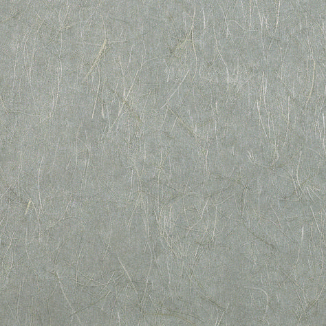 Washi Walls 1912 from Phillip Jeffries, the world's leader in natural, textured and specialty wallcoverings Phillip Jeffries Wallpaper, Phillip Jeffries, Book Binder, Japanese Rice, World Leaders, Pattern Names, Rice Paper, Color Names, Shop Wallpaper