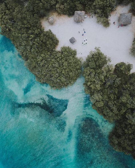 One of our favorite hideaways on the island! Have YOU been? 🌿💦 📸 by: @arubaparadisephotos . . . #aruba #onehappyisland #paradise #mangelhalto #beach #mangroves #hideaway #spanishlagoon #caribbean #visitaruba #discoveraruba #travelgram Mangel Halto Aruba, Visit Aruba, Travel Instagram, Cheap Travel, Aruba, Barbados, Travel Bucket, Travel Bucket List, Dream Vacations