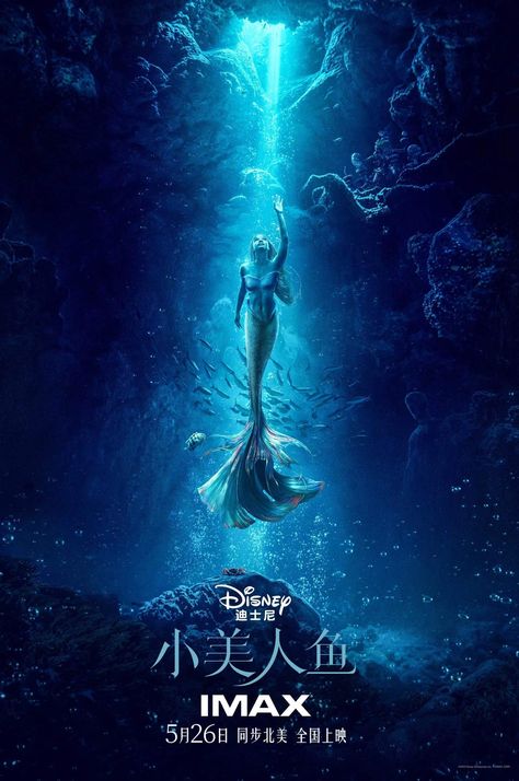 Steph Anie on Twitter: "The Little Mermaid China poster...Ariel is blue https://t.co/ZbTerfVjoe" / Twitter Little Mermaid Poster, The Little Mermaid Poster, The Little Mermaid 2023, Little Mermaid 2023, Mermaid Movie, Little Mermaid Wallpaper, Little Mermaid Live Action, Mermaid Movies, Mermaid Poster