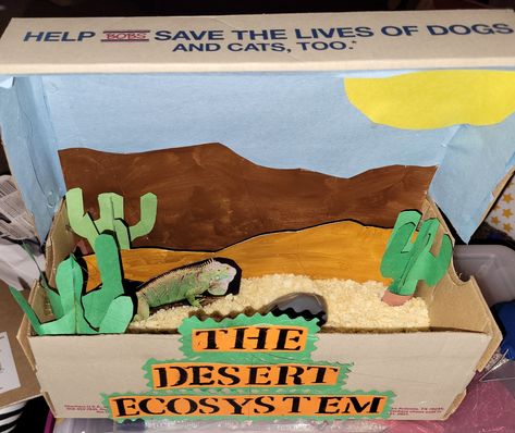 4th grade desert ecosystem project super easy last minute. Supplies a shoebox construction paper two or three sleeves of crackers paper iguanas and a shoebox Ecosystem Project, Desert Project, Ecosystems Projects, Desert Ecosystem, Ecosystem, Last Minute, Habitat, Dog Cat, Dessert