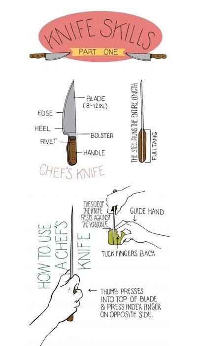 Knife skills 101 Basic Knife Skills, Knife Safety Poster, Ahg Explorers, Culinary Notes, Knife Skills Cooking, Knife Safety, Culinary Basics, Culinary Lessons, Knife Guide