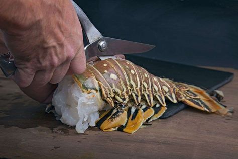 The 4 Commandments Of Cooking Perfect Lobster Tails Steaming Lobster Tails, Boil Lobster Tail, Cooking Frozen Lobster Tails, Frozen Lobster Tails, Cook Lobster, Broil Lobster Tail, Lobster Stock, Steamed Lobster, Grilled Lobster Tail