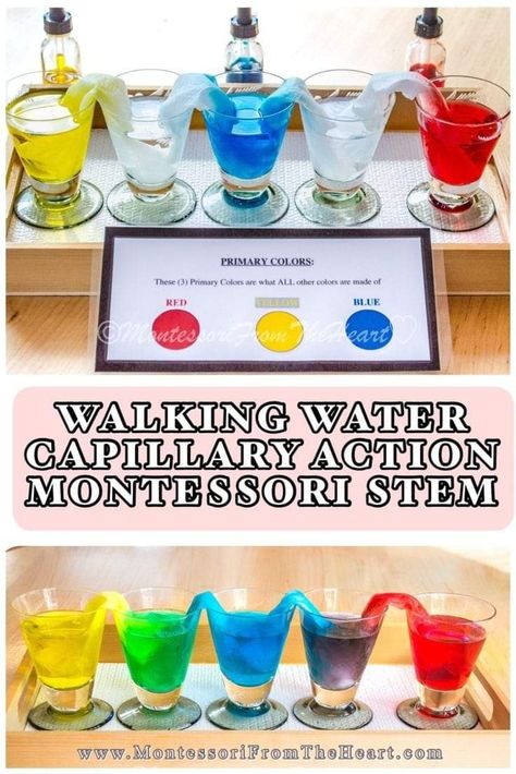 Montessori Stem Activities, Stem Experiments Preschool, Easy Experiments For Kindergarten, Montessori Experiments, Montessori Color Activities, Color Experiments For Kids, Experiment For Preschoolers, Kids Science Experiment, Stem Kids