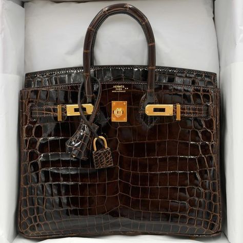 Rare Birkin, Luxury Bags Collection, Fashion Influencer, Girly Bags, Luxury Purses, Pretty Bags, Bag Luxury, Crocodile Leather, Bag Trends