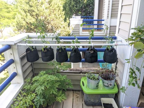 Hang your grow bags with heavy duty tension rods and shower curtain rings! #DIY #gardening #garden #growbag #balconygardening Garden Bags, Drawing Bag, Grow Bags, Bag Stand, Balcony Garden, Growing Plants, Plant Stand, Diy Bag, Vegetable Garden