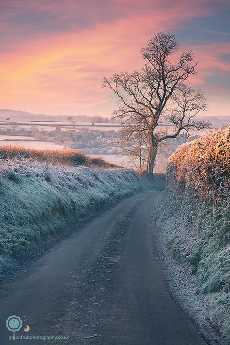 English Christmas, Frosty Morning, Somerset England, Belle Nature, Stunning Landscapes, Inspirational Photos, Winter's Tale, I Love Winter, Winter Light