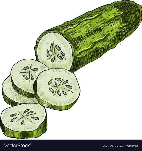 Drawing Farm, Cucumber Vegetable, Graffiti Wallpaper Iphone, Farm Market, Graffiti Wallpaper, Hand Drawn Vector, Vegetarian Food, Food Drawing, Art And Illustration