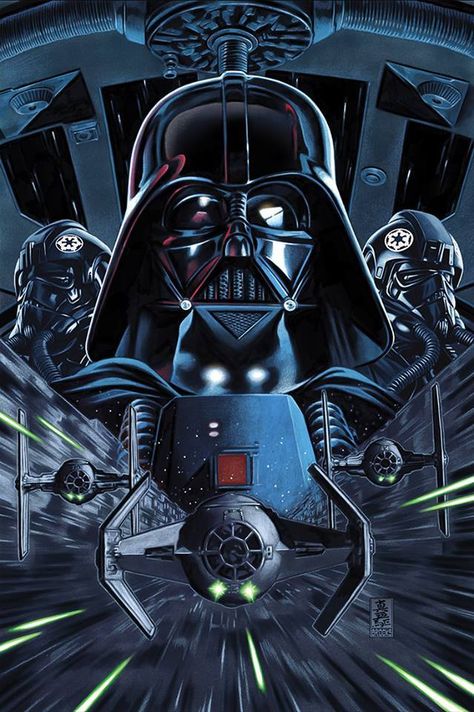 Star Wars Vader Tie Fighter, Vader Wallpaper, Doctor Aphra, Mark Brooks, Dark Lord Of The Sith, Anakin Vader, Vader Star Wars, Star Wars Tattoo, Star Wars Empire