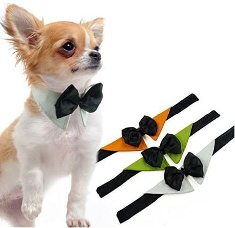 ⭐ Confeccionar un corbatin para perros: Pasos y materiales Dog Accesories, Dog Clothes Diy, Small Dog Clothes, Dog Clothes Patterns, Cat Accessories, Dog Sweaters, Dog Bows, Dog Bowtie, Dog Coats