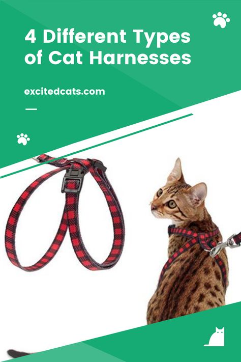 In this guide, we’ll walk you through the pros and cons of each type of harness, so you and your cat can enjoy a safe, peaceful walk anytime you like. #bestcatharness #typesofcatharnesses #catgear #catcare #catadvice #excitedcats Cat Harness Diy Pattern, Best Cat Harness, Different Types Of Cats, Cat Advice, Types Of Cats, Cat Garden, Cat Harness, Best Cat, Cat Care